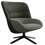 dm5100094-绿色单人沙发椅