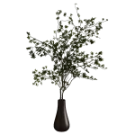 花瓶植物12