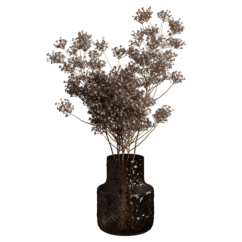 花瓶植物11