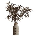 花瓶植物05