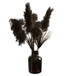 花瓶植物04