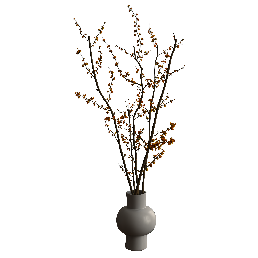 花瓶植物08